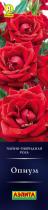 Роза Опиум/Чайно-гибридные